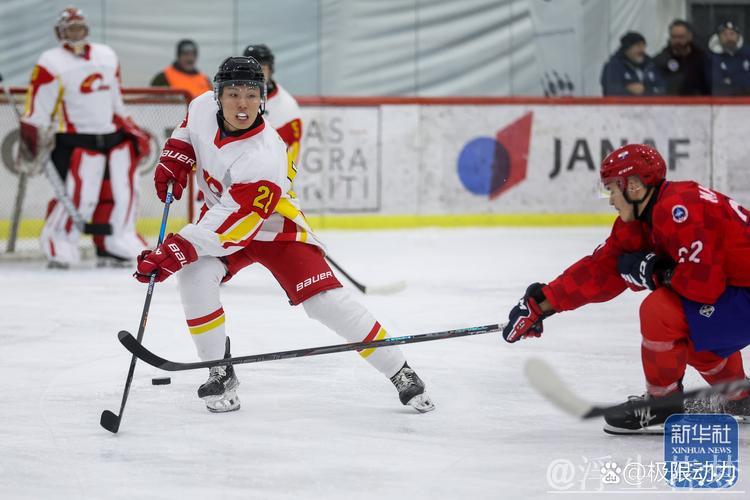 中国男子冰球队世锦赛惜败东道主